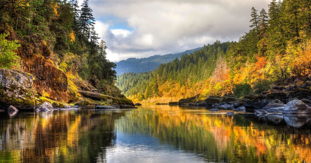 rainbow of fall colors