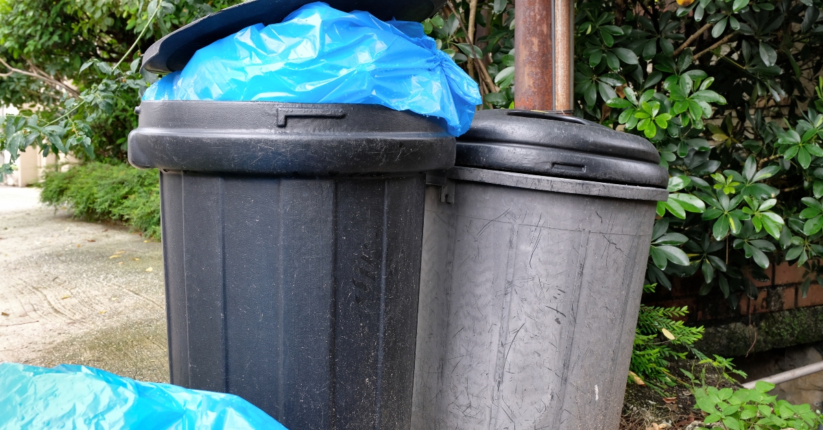 Trash bins outside residential homes