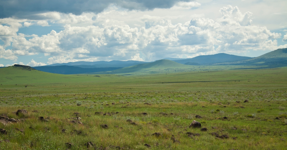 springerville volcanic field arizona