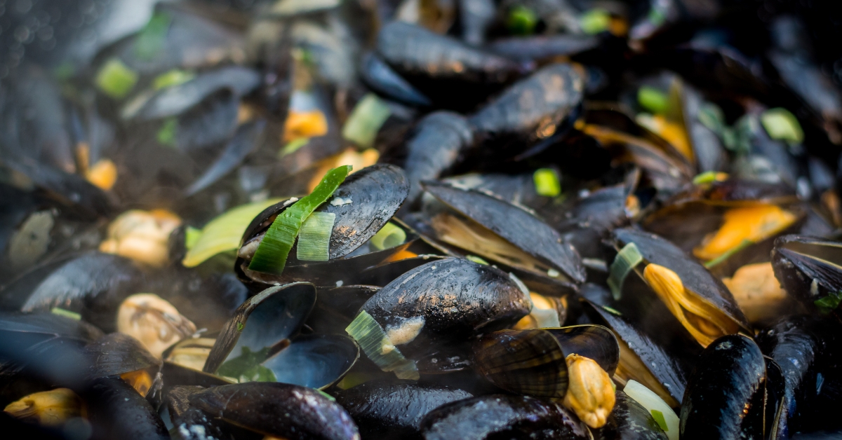 Cooking mussels and seafood
