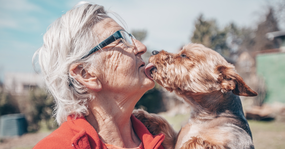 Grandmother and lovely puppy