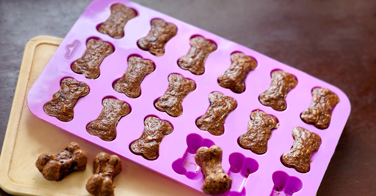 Homemade biscuits for dogs