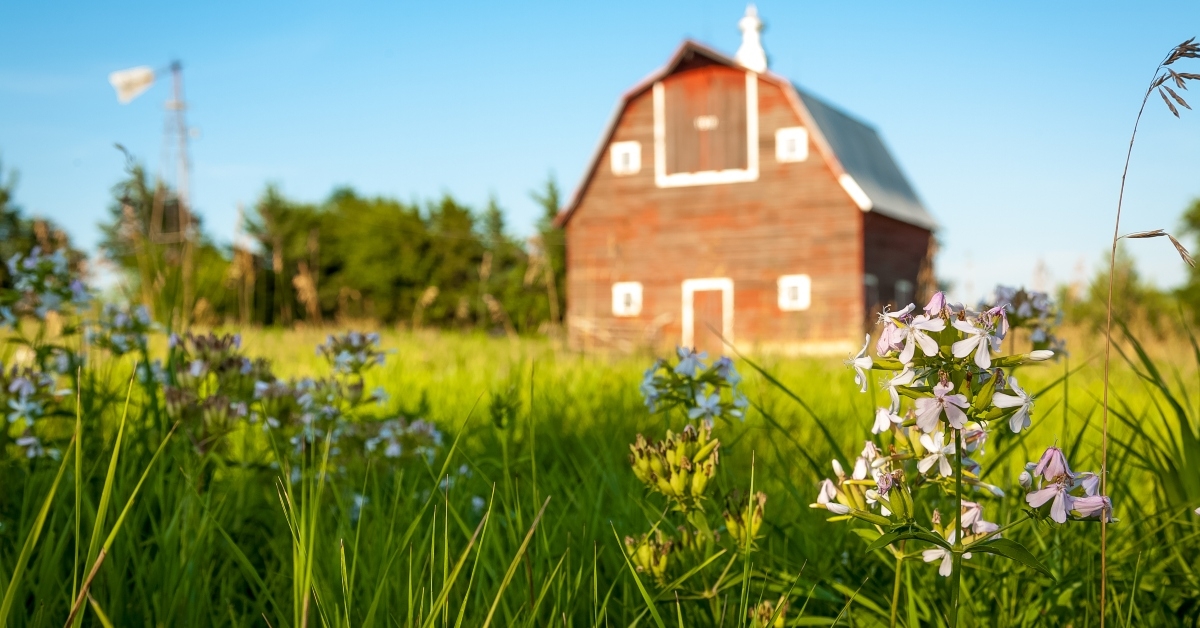 red barn on green grass