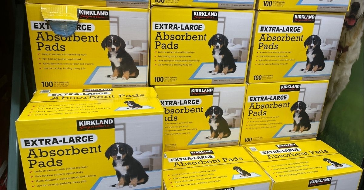 absorbent puppy pads