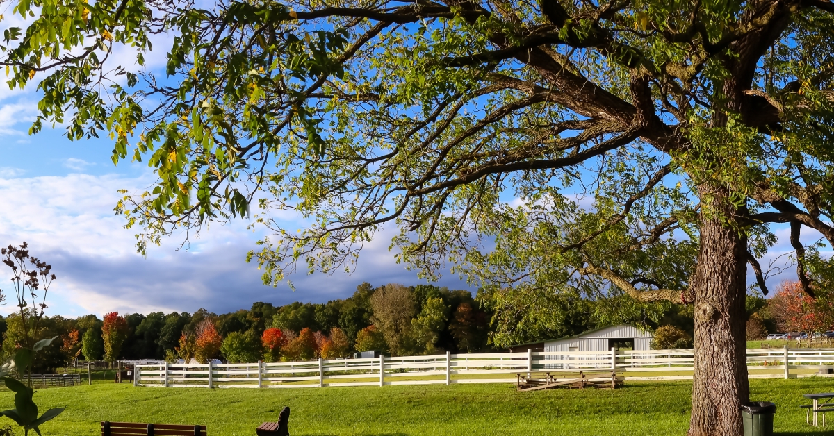 scenic michigan state university tollgate farm