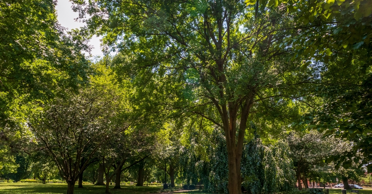 schiller park in german village