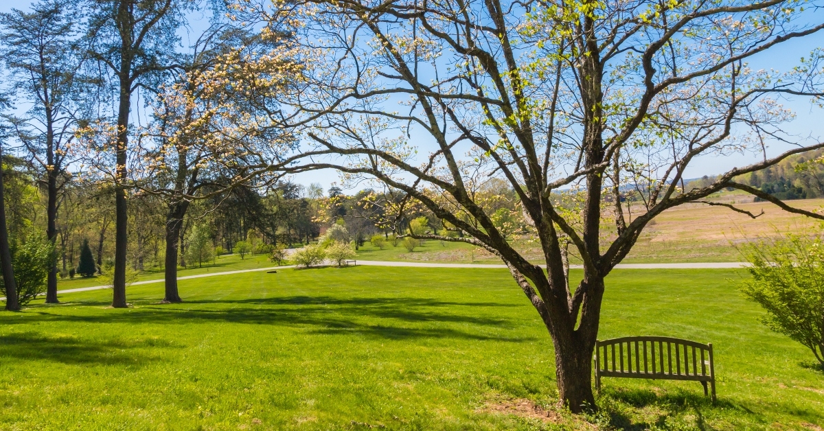 spring season in park