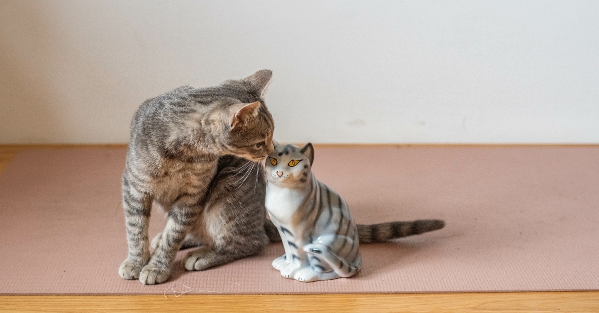 Cat licking porcelain figurine cat