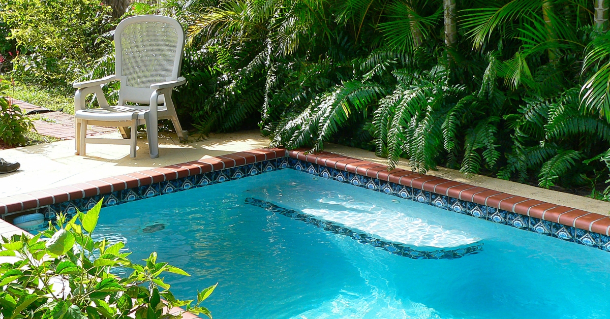 small pool in a tropical setting