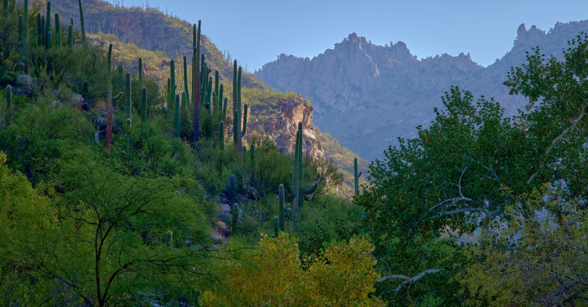 abino canyon recreation area