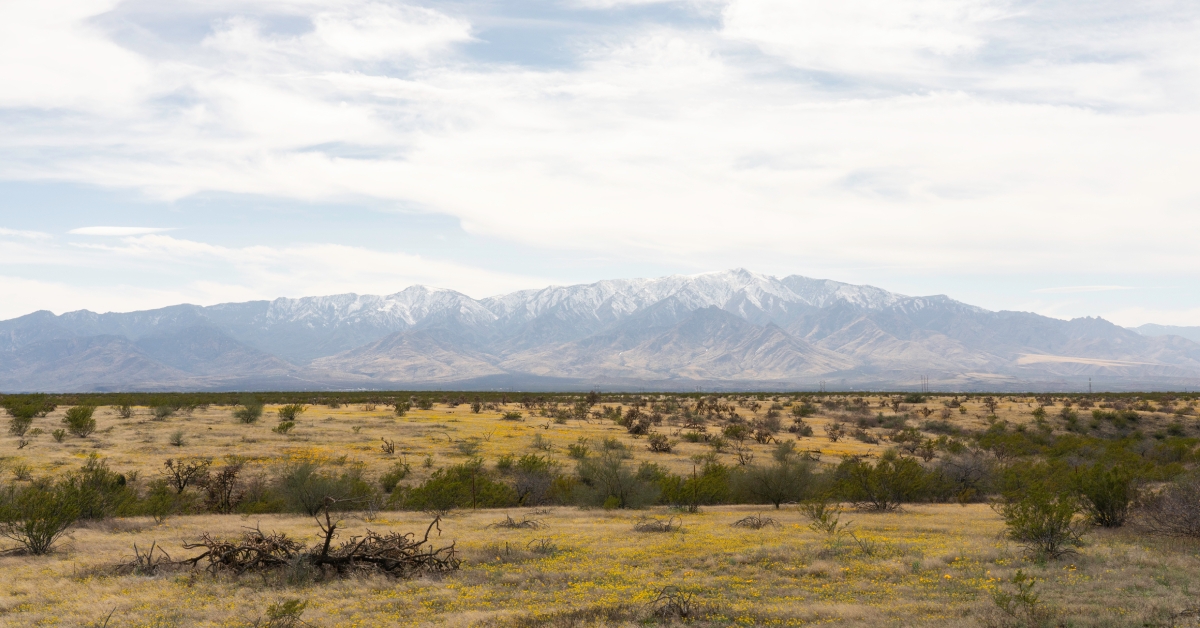 snow capped mount graham