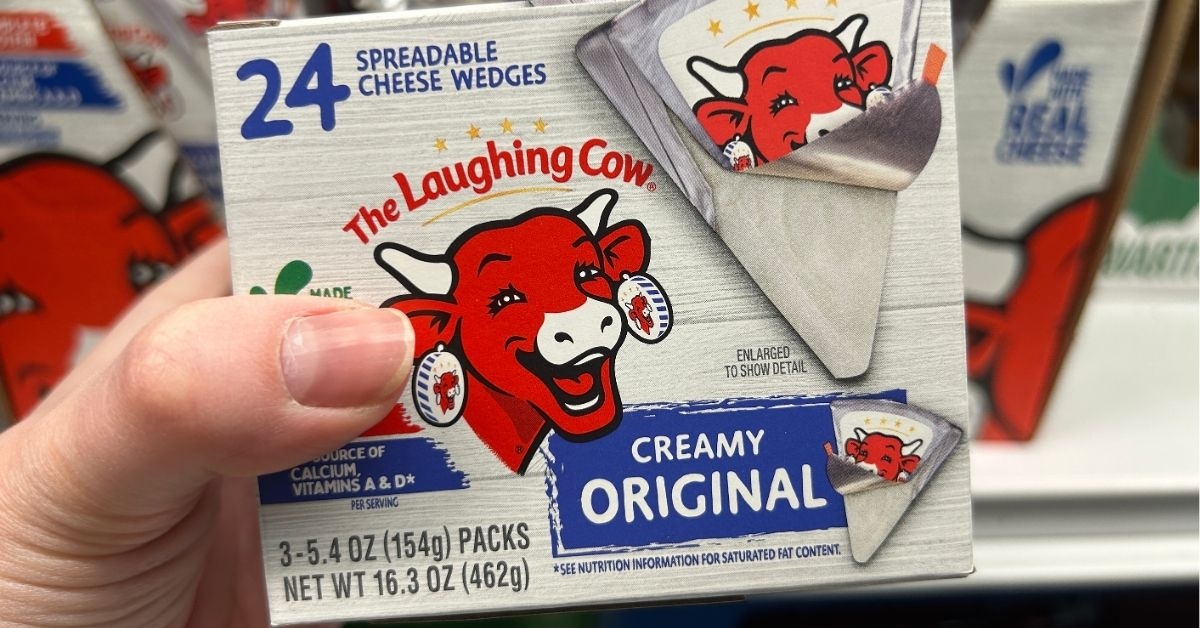 spreadable cheese wedges in pack