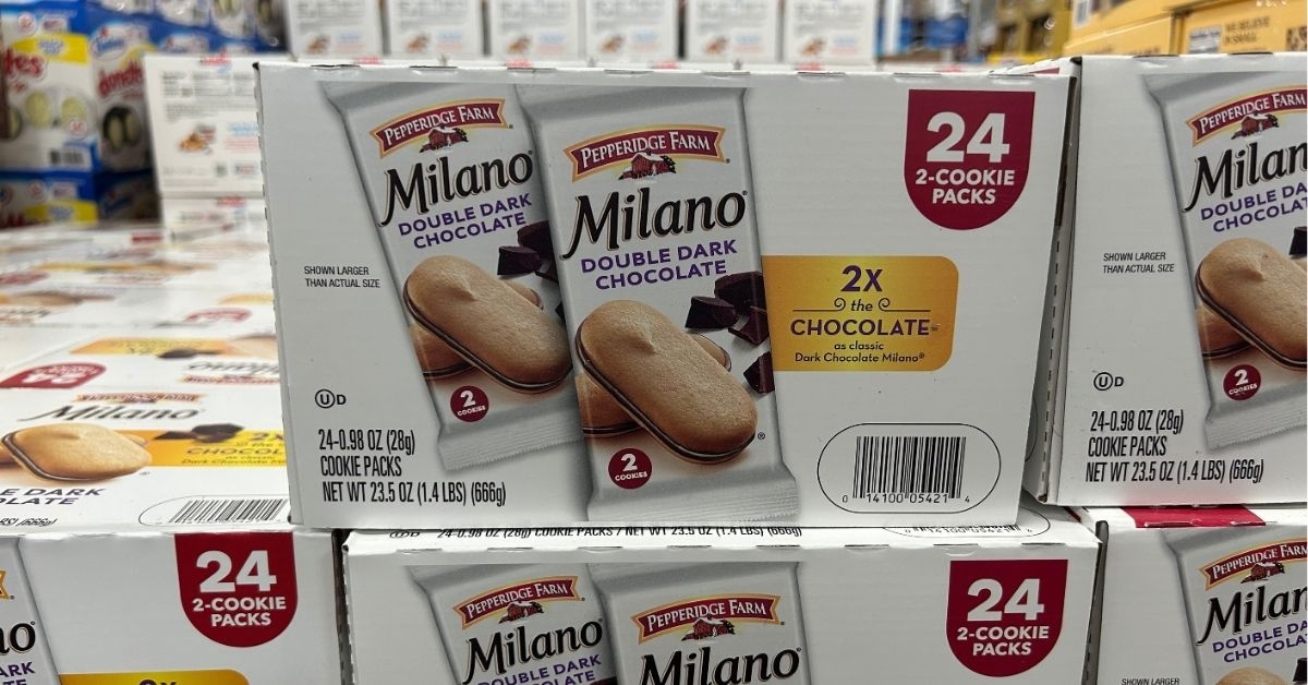 dark chocolate snack in a box