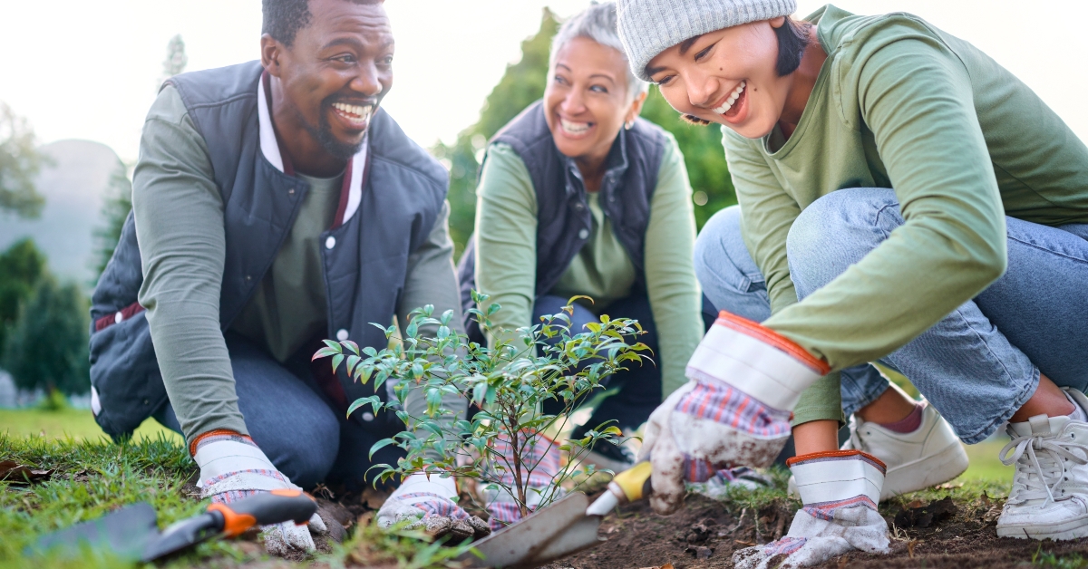 gardening community service park garden