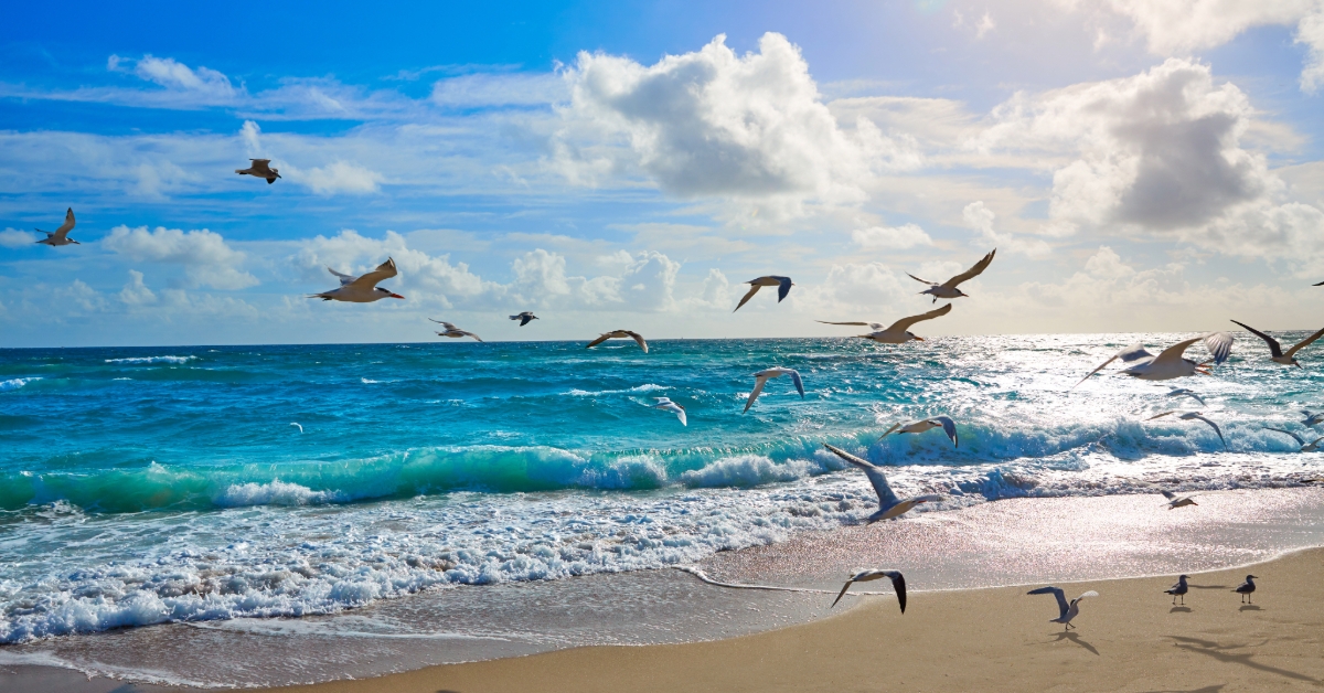 Singer Island beach at Palm Beach Florida US