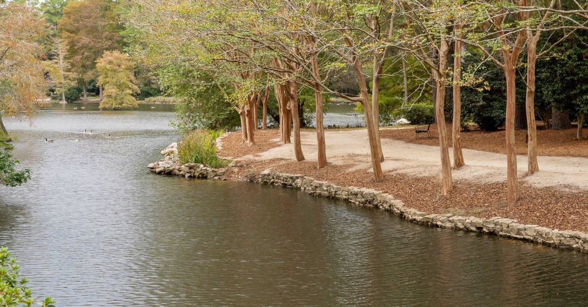 scenic view of swan lake iris