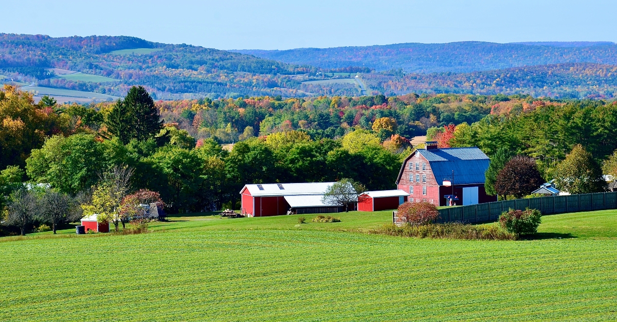landscape in the mountains