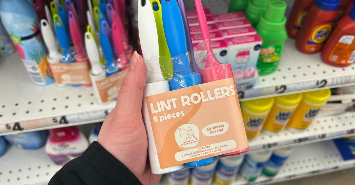 mini lint rollers on hand