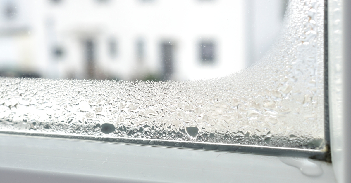condensation on the window