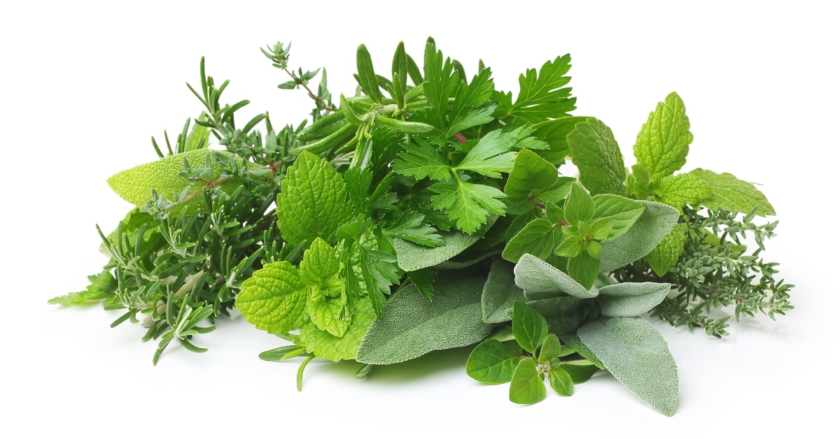 fresh spices and herbs