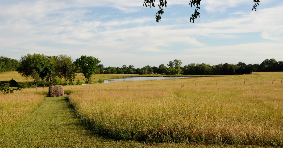 missouri farm