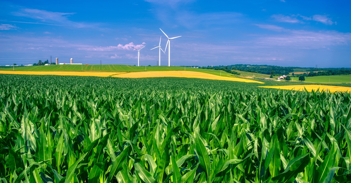 rural america in high summer