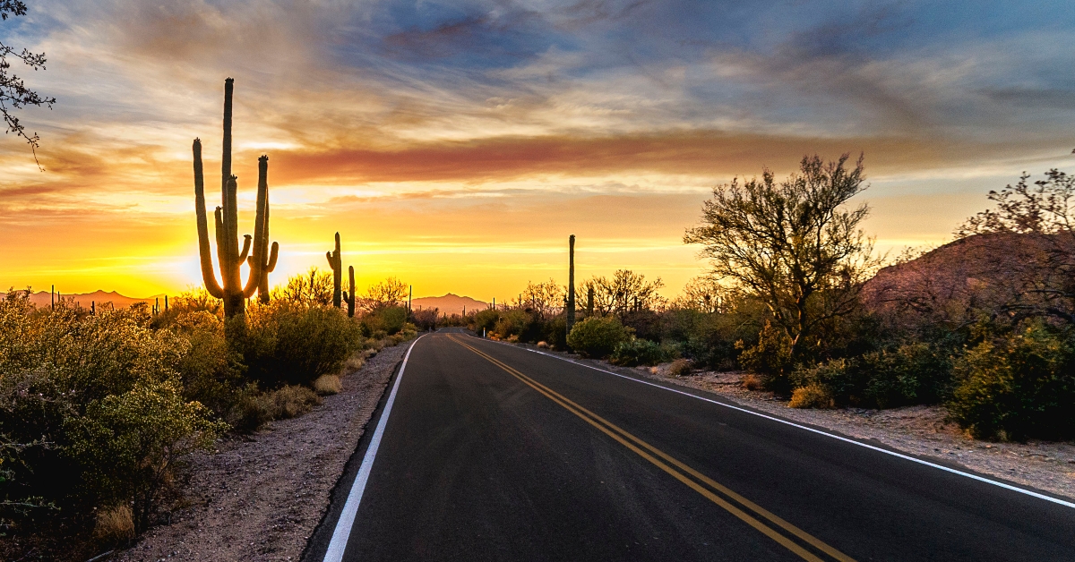 Arizona Desert Sunset Road