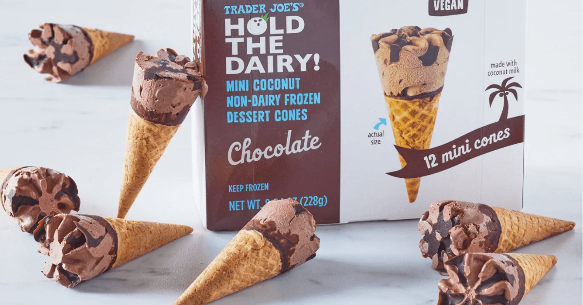 Box and mini cones from Hold the Dairy chocolate cones Trader Joe's