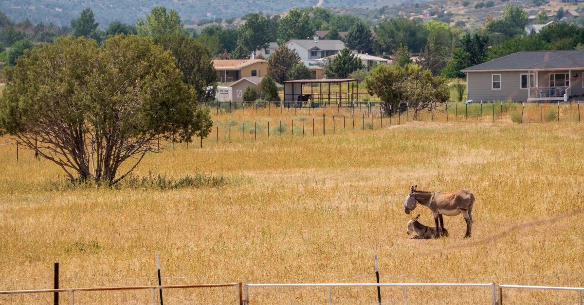 chino valley arizona