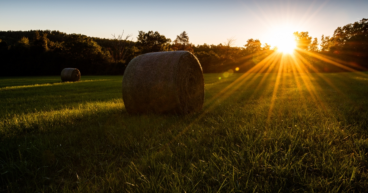 farmlands of America 