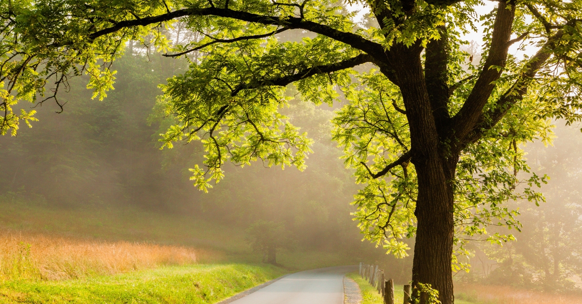 great smoky mountains national park