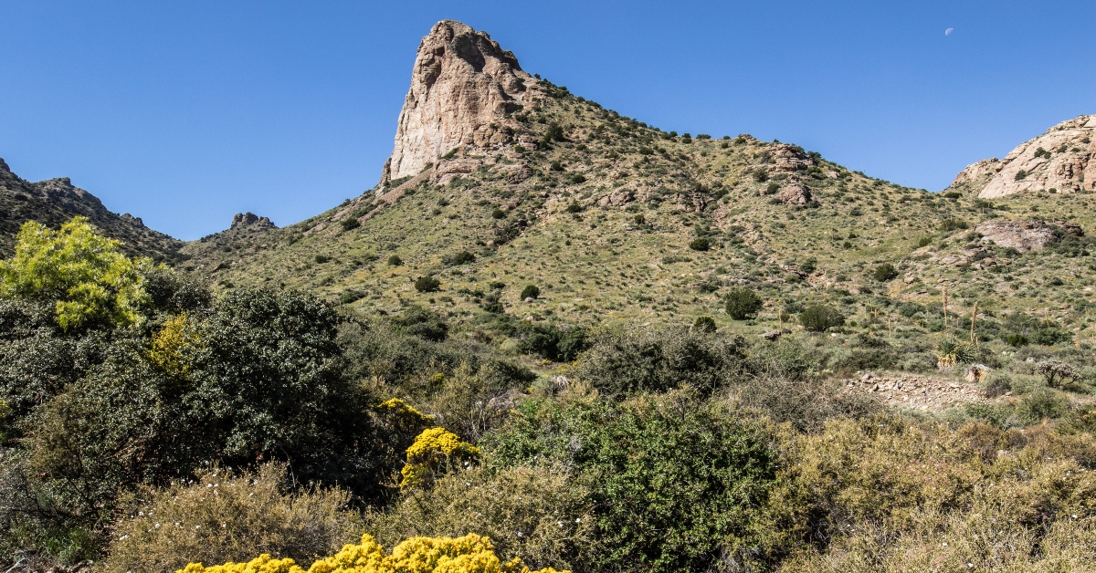 rockhound state park deming