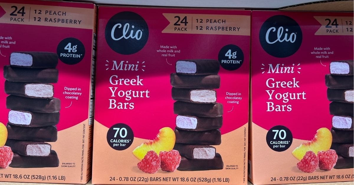 mini greek yogurt bars