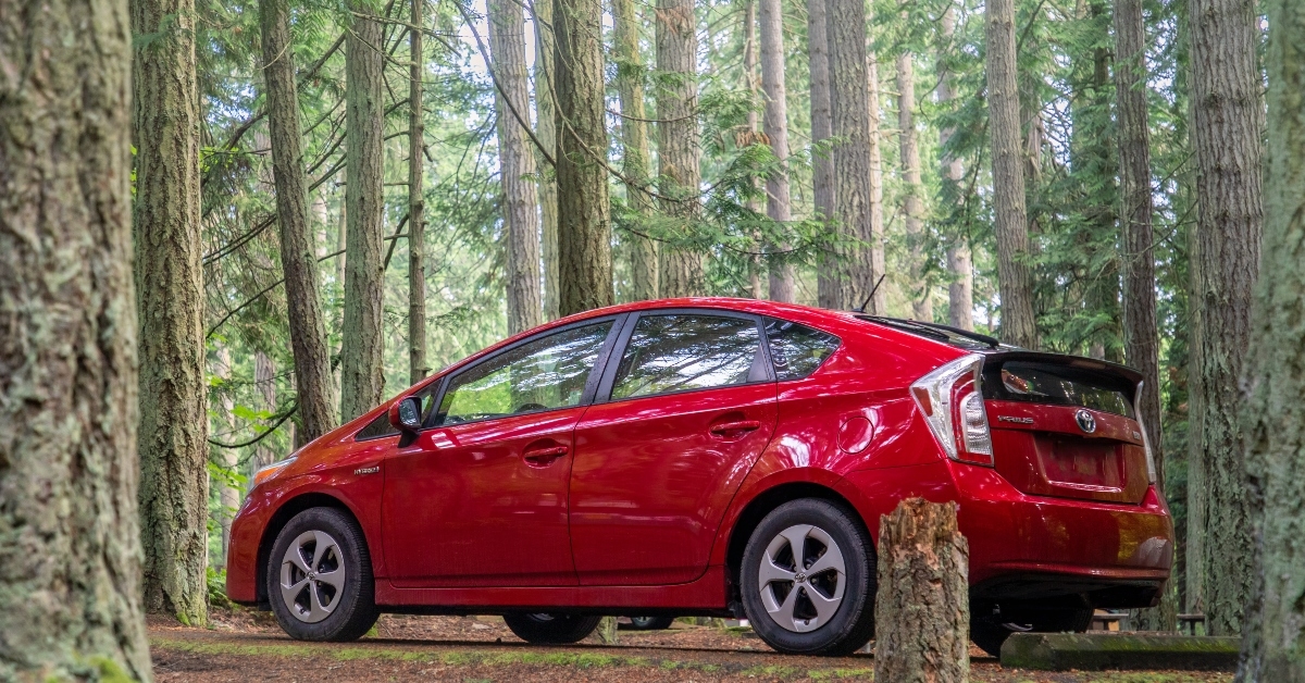 red prius in forest