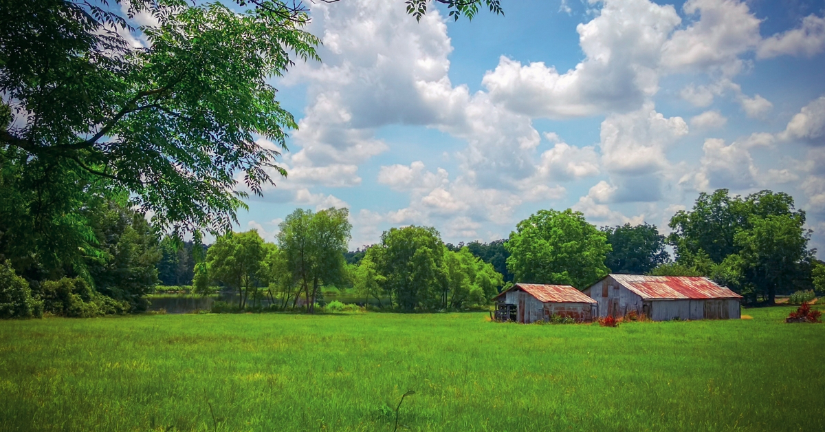 rural farm in north carolina