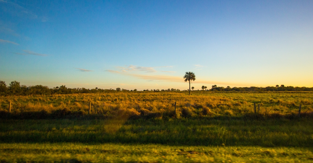 south florida ranchland