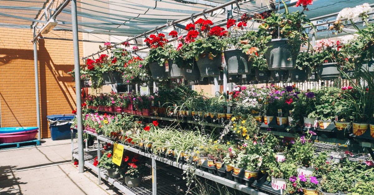 garden centre in canadian walmart