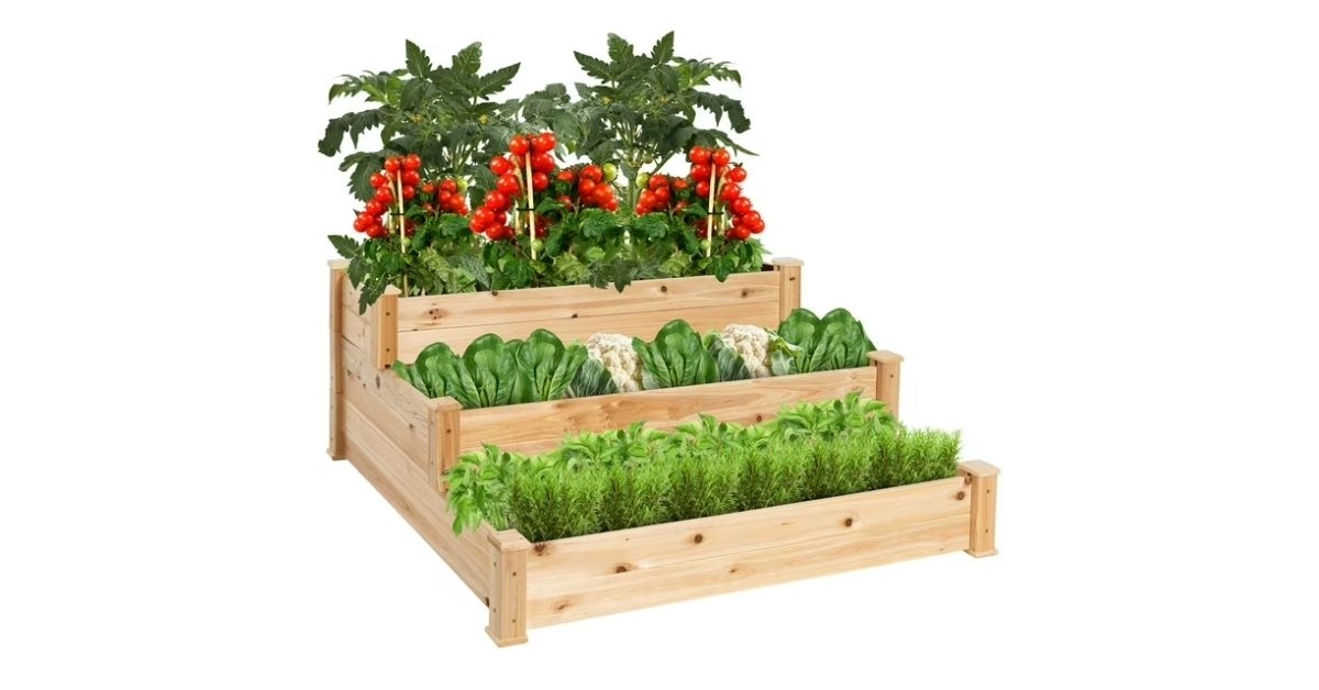 tier fir wood raised garden bed planter