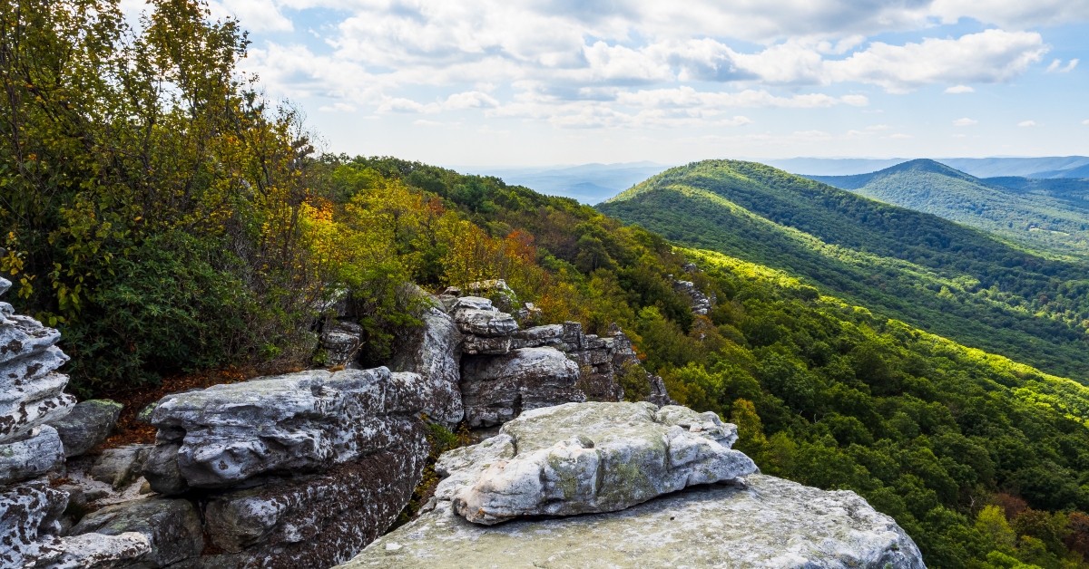 wildernesss with wooded mountains