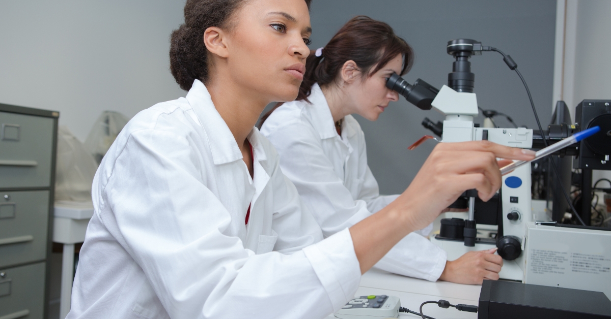 lab workers checking chemical data