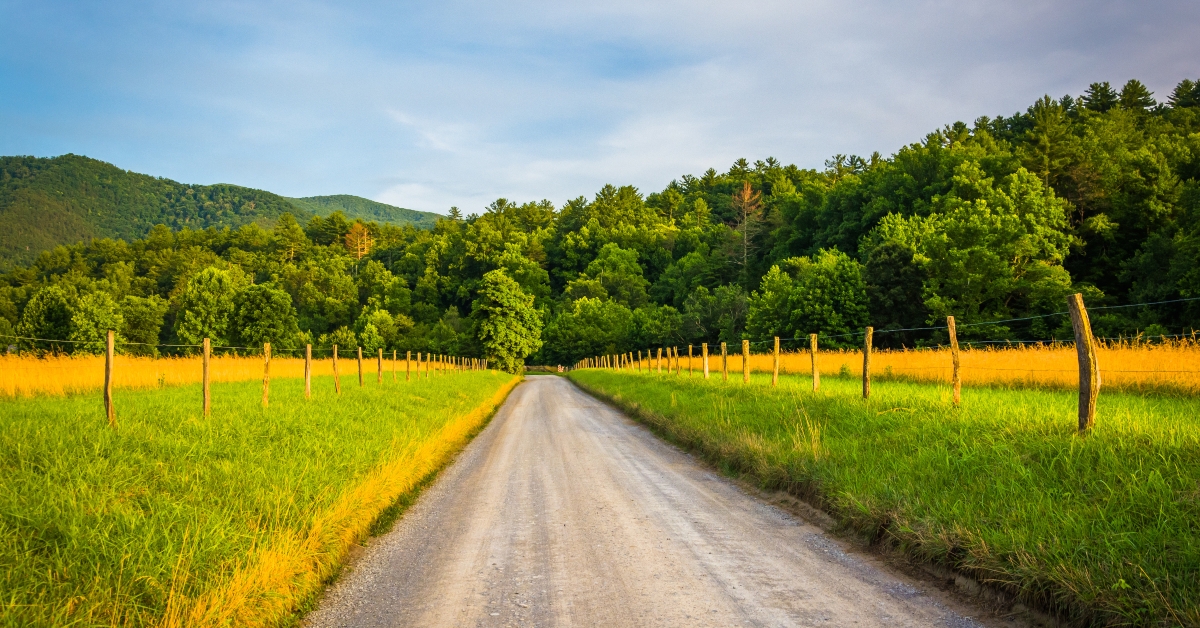 cades cove great smoky moun 