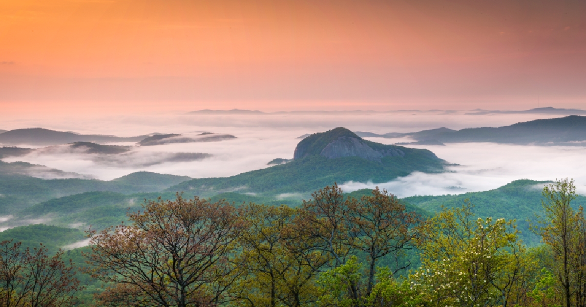 pisgah national forest