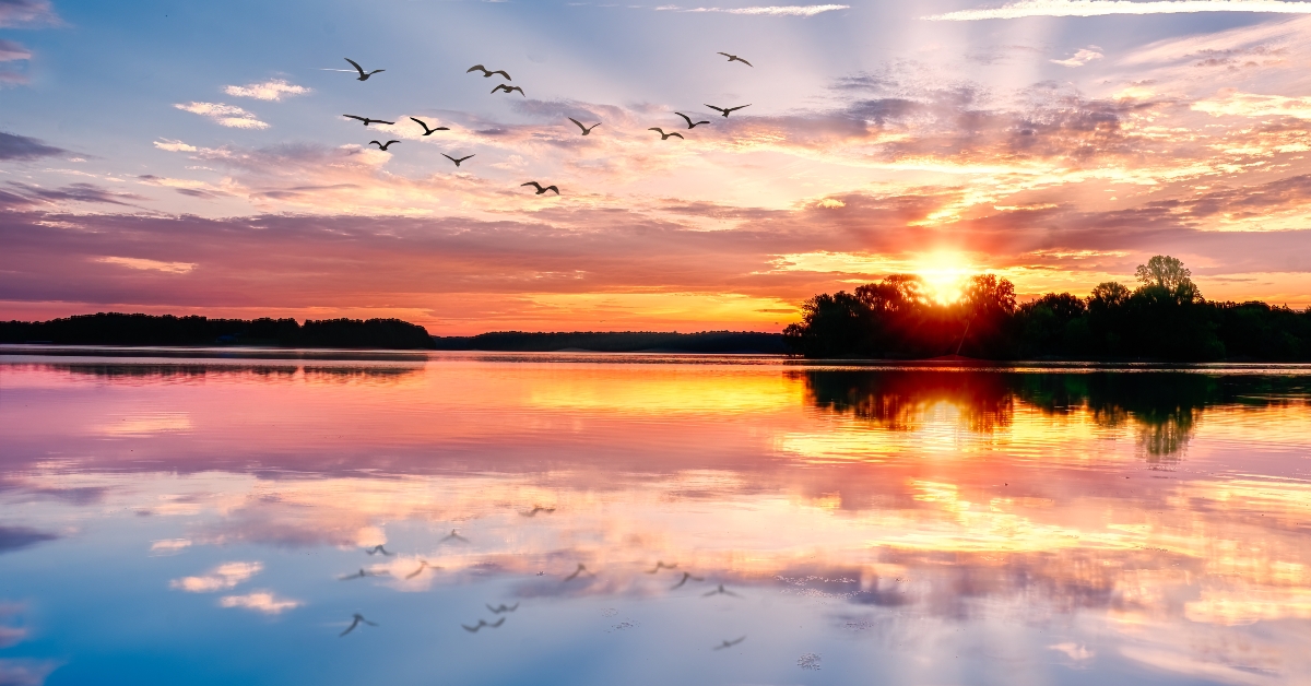 beautiful sunrise over woods reservoir lake