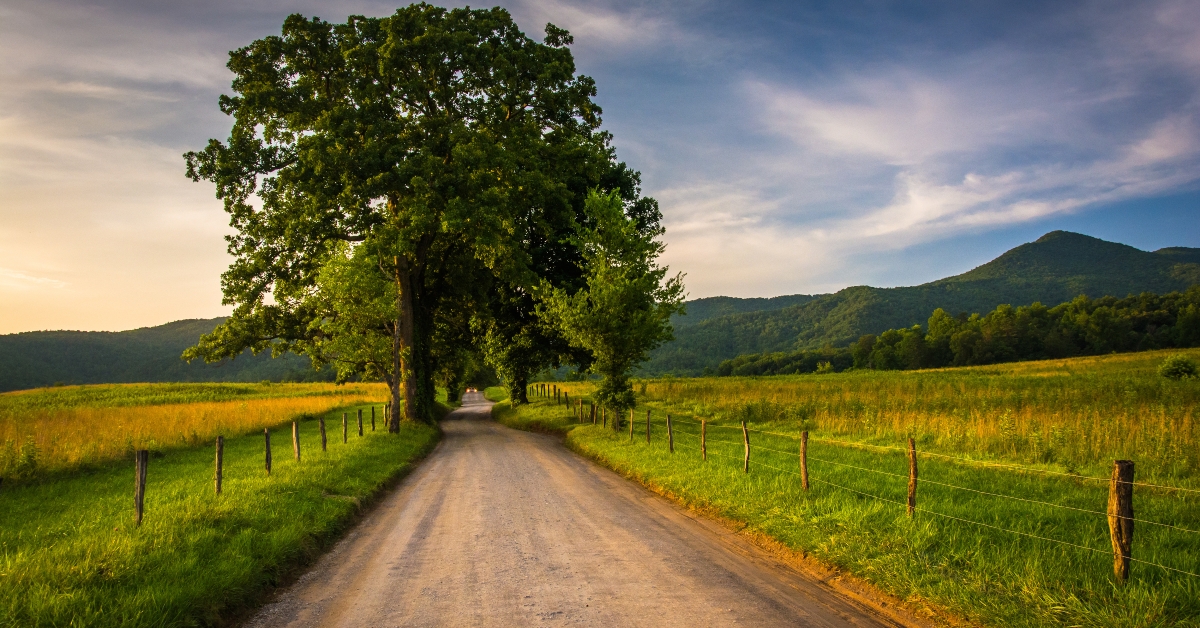 road at cades cove
