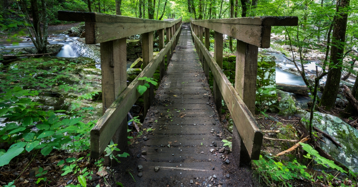 wooden bridge