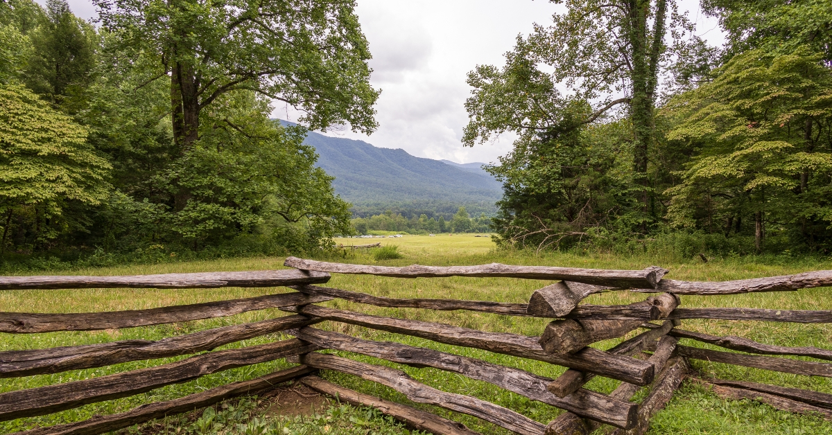 wooden fence in rural mountain meadow 