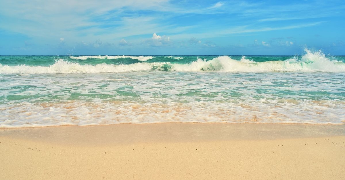 view of a sandy beach on a sunny day