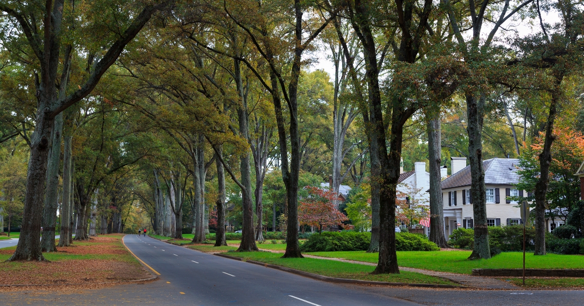 Queens Road West in Charlotte in the Fall Season