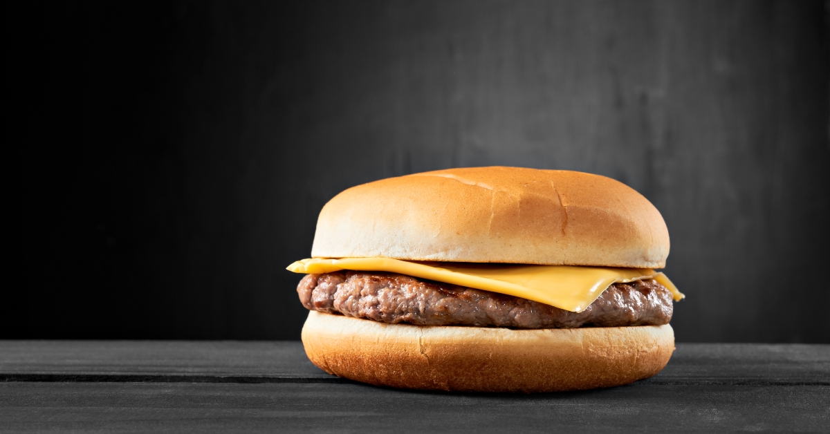 plain beef burger with cheese