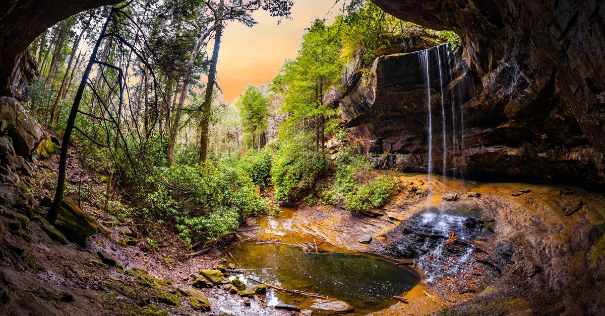 northrup falls scenic view